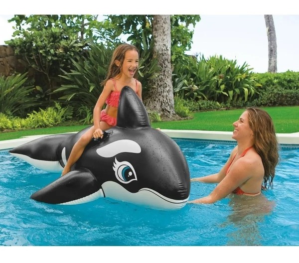 Inflable Orca Ballena Para Niños Playa Piscina Intex 58561 - Imagen 2