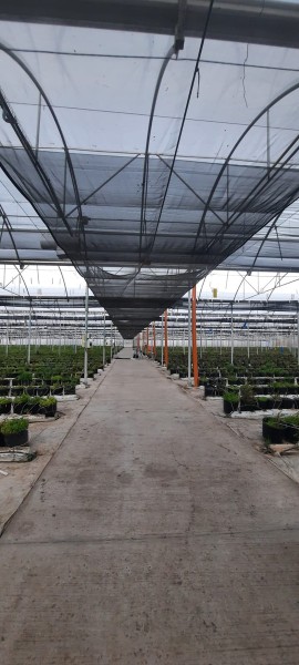 20mt Malla Sombra Doble 4mt Ancho Varios Colores Resistente - Imagen 4